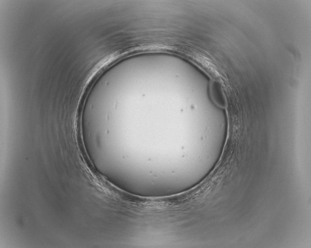 X0000115741181200912031421