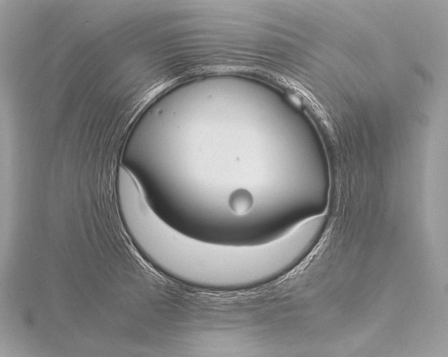 X0000115741185200912031421