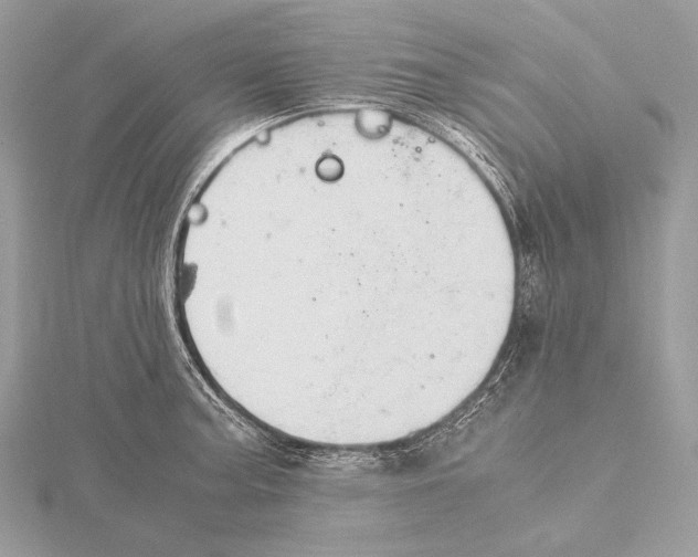 X0000115741187200912031421