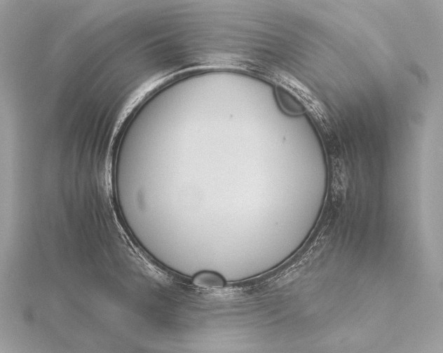 X0000115741188200912031421