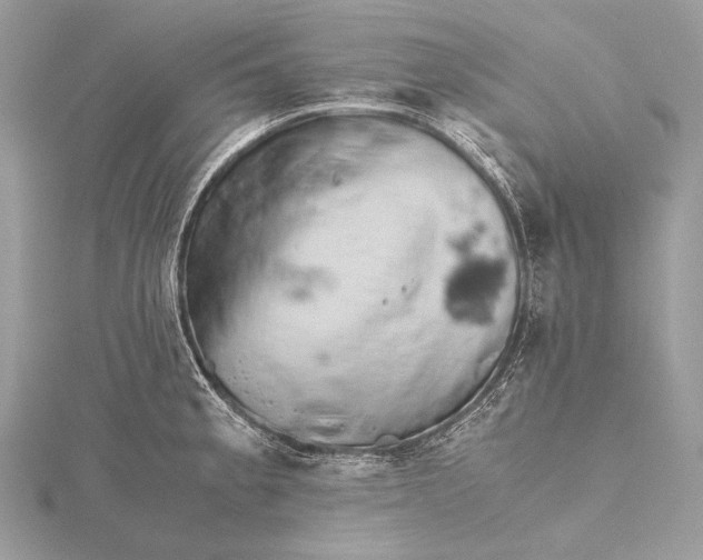 X0000115741189200912031421