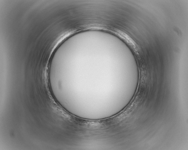 X0000115741190200912031421