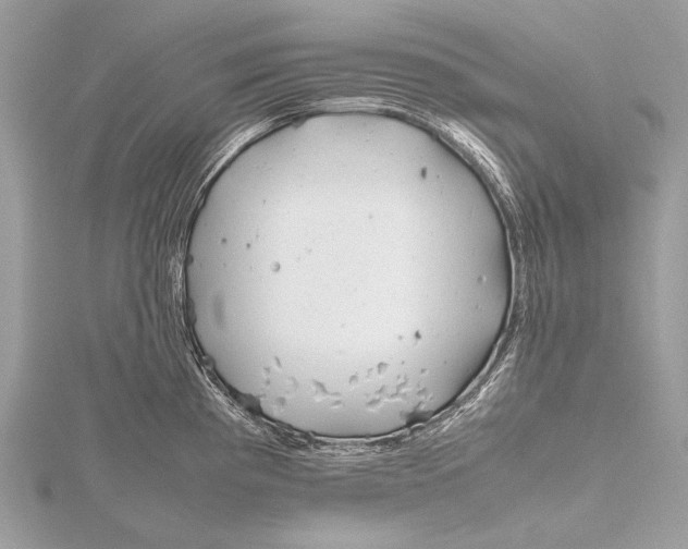 X0000115741193200912031421