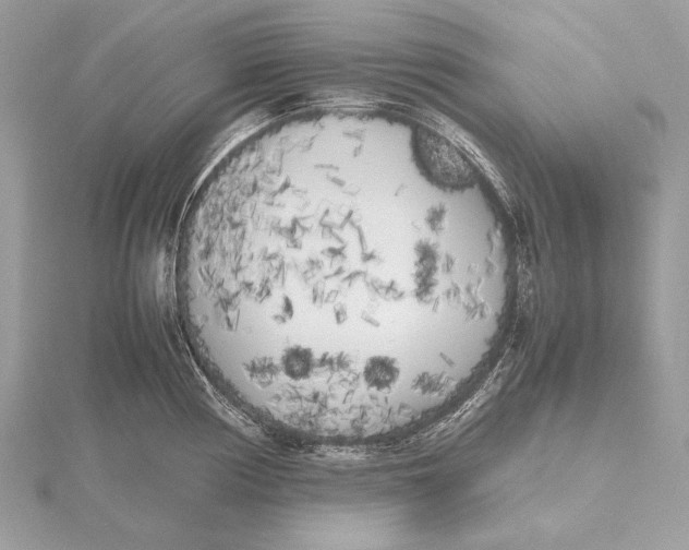 X0000115741194200912031421