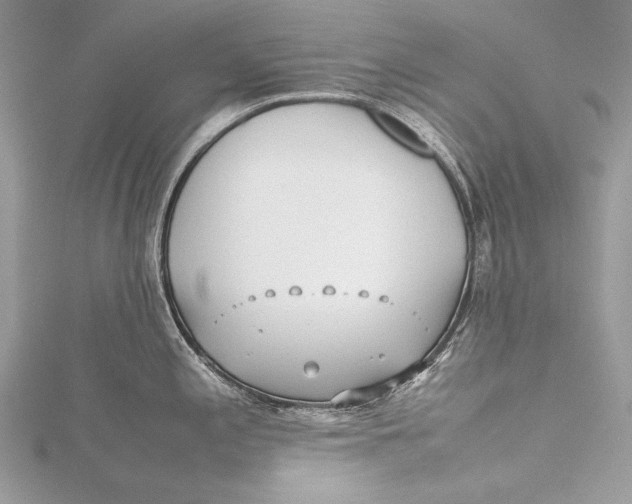 X0000115741197200912031421