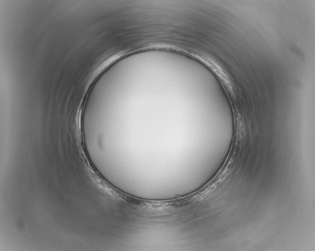 X0000115741198200912031421