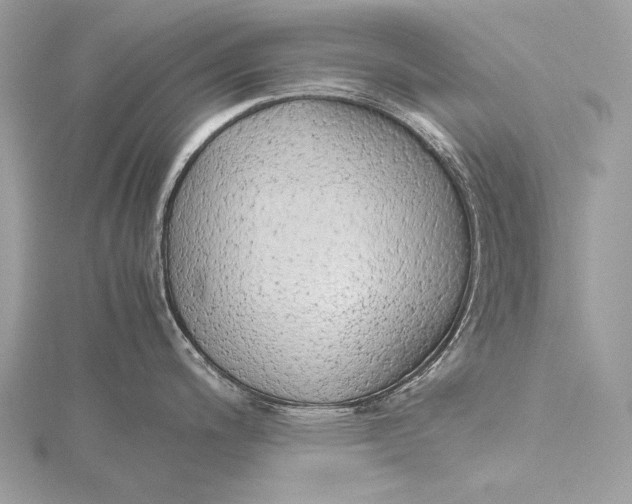 X0000115741200200912031421