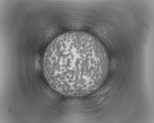 X0000115741202200912031420