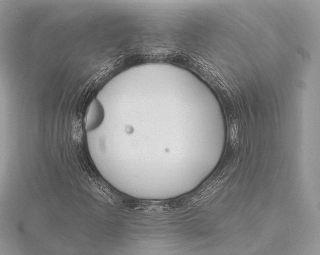 X0000115741204200912031420