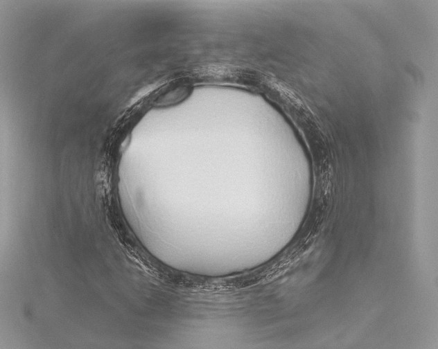 X0000115741206200912031420