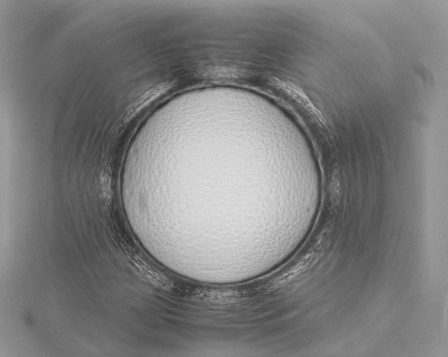 X0000115741209200912031420