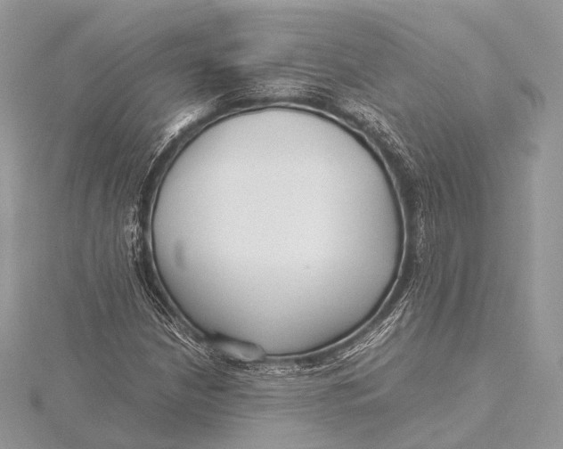 X0000115741210200912031420