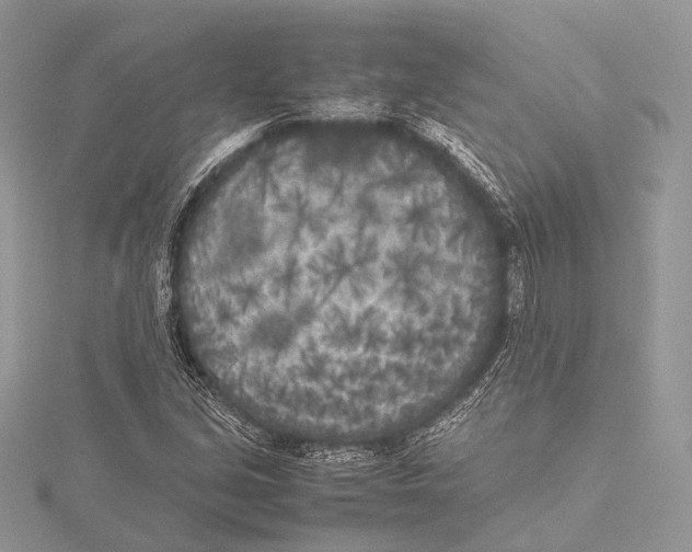 X0000115741213200912031420