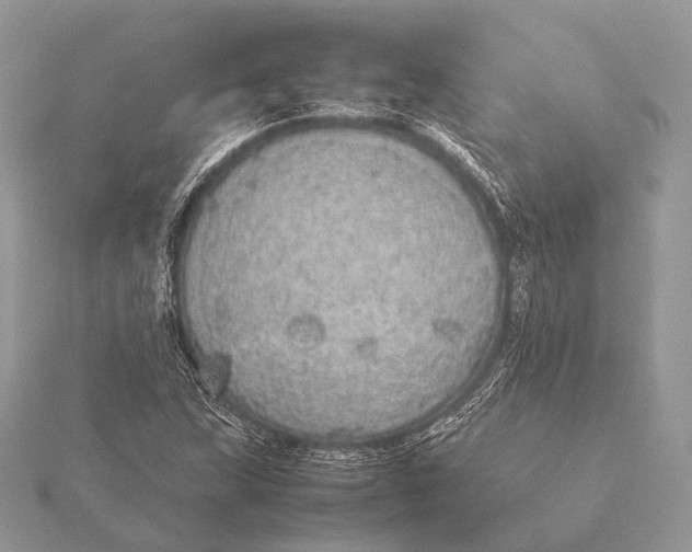 X0000115741215200912031420