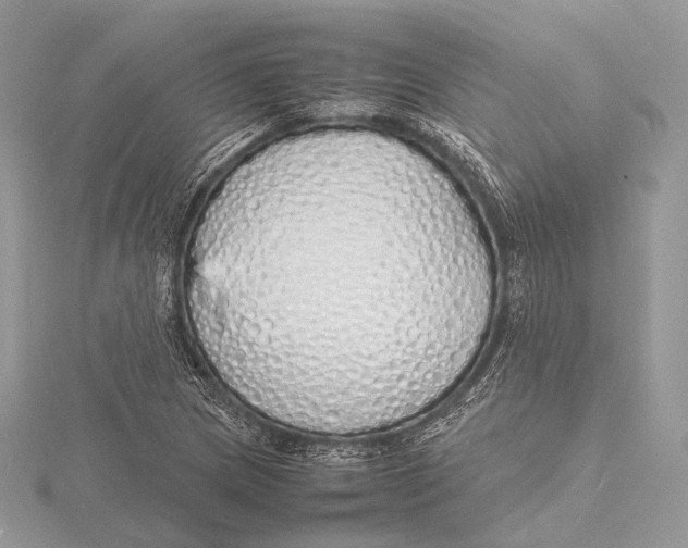 X0000115741217200912031420