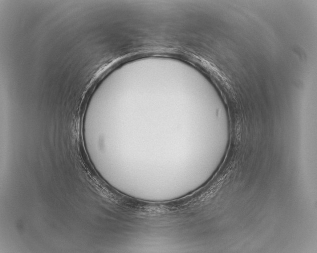 X0000115741220200912031420