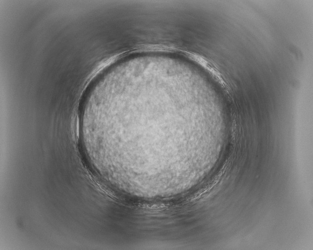 X0000115741221200912031420