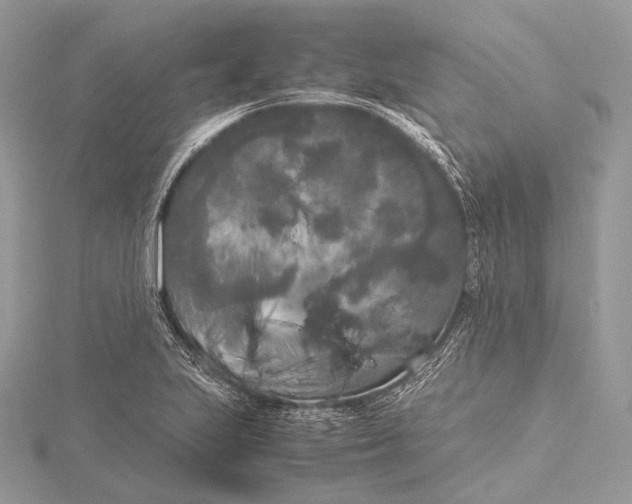 X0000115741223200912031420