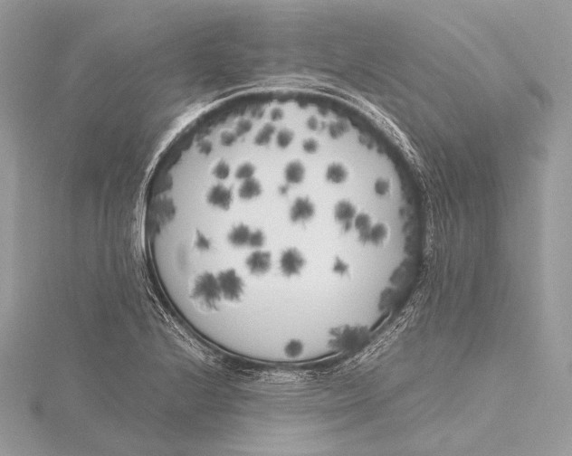 X0000115741224200912031420