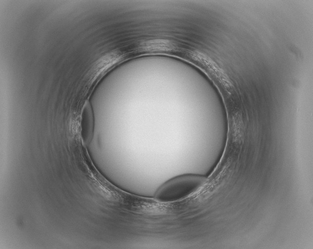 X0000115741225200912031420