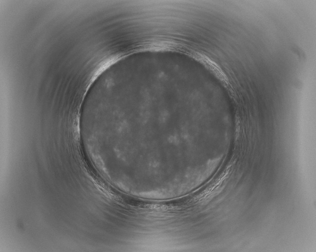 X0000115741226200912031420