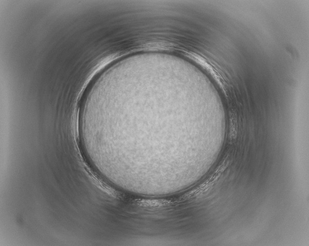 X0000115741227200912031420