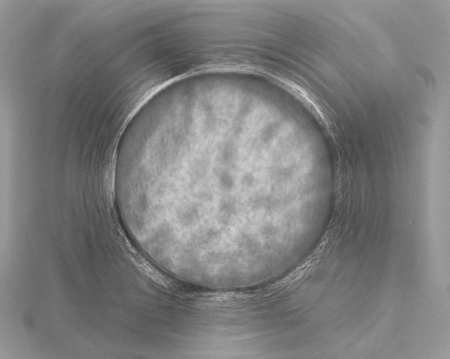 X0000115741228200912031420