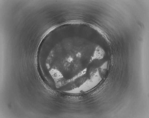 X0000115741229200912031420