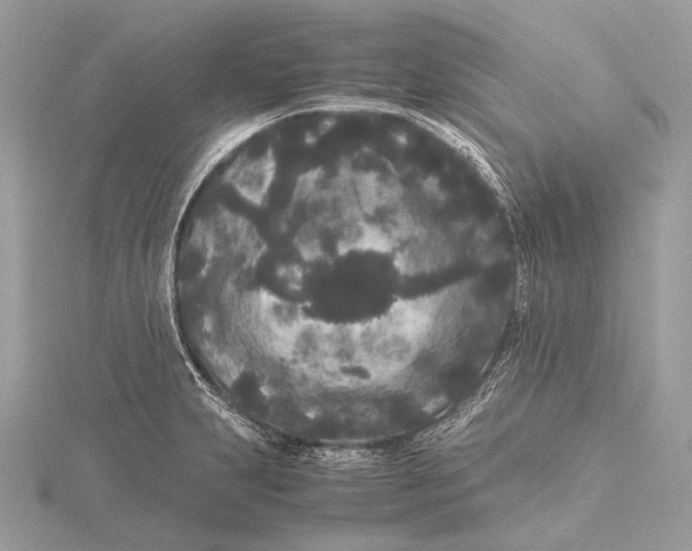 X0000115741231200912031420