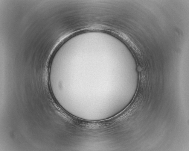 X0000115741232200912031420