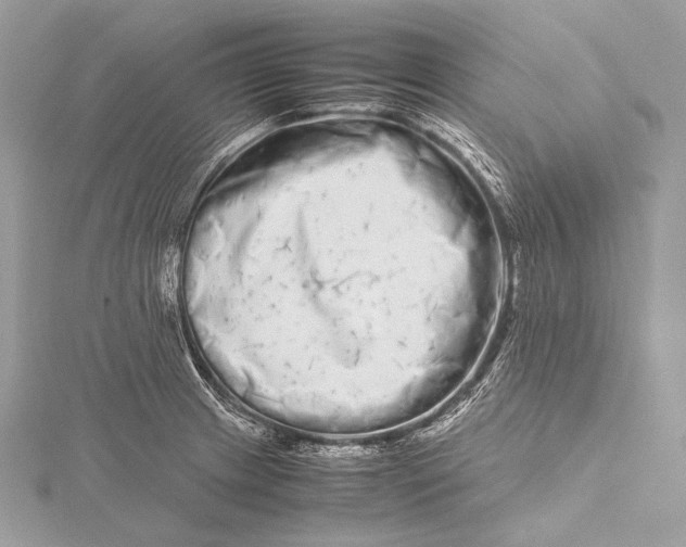 X0000115741233200912031420