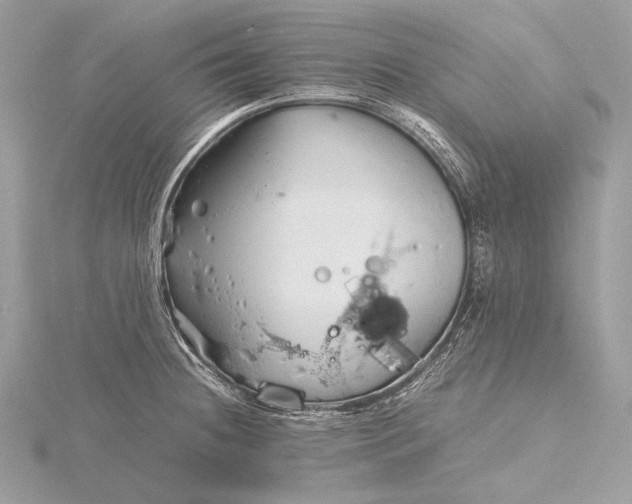 X0000115741236200912031420