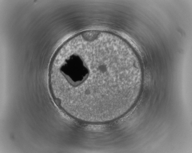 X0000115741237200912031420