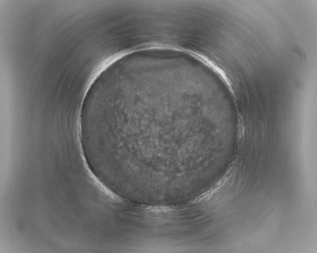 X0000115741239200912031421