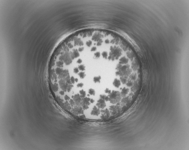 X0000115741240200912031421