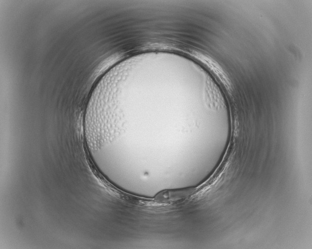 X0000115741241200912031421