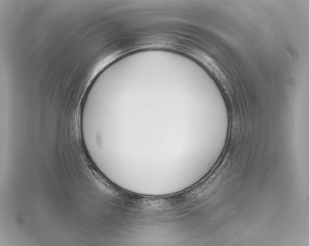 X0000115741242200912031421