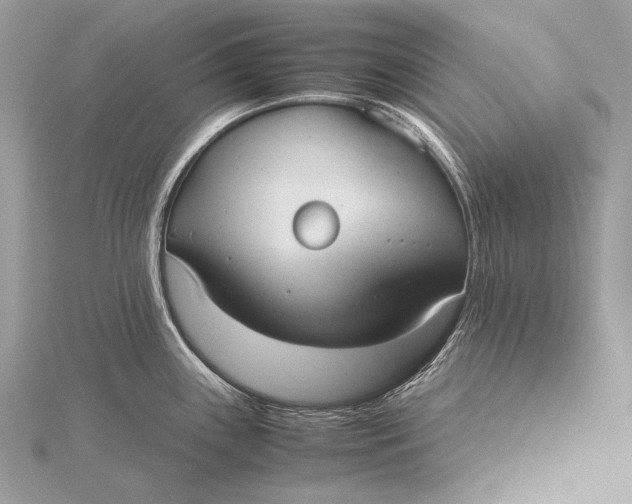 X0000115741243200912031421