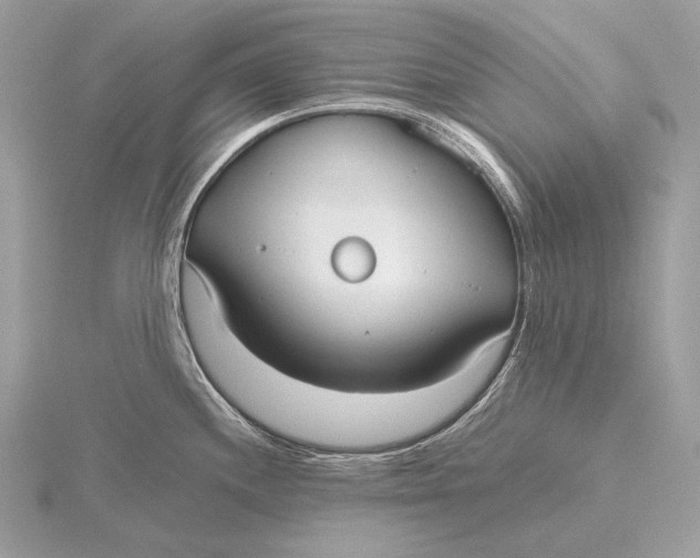 X0000115741244200912031421