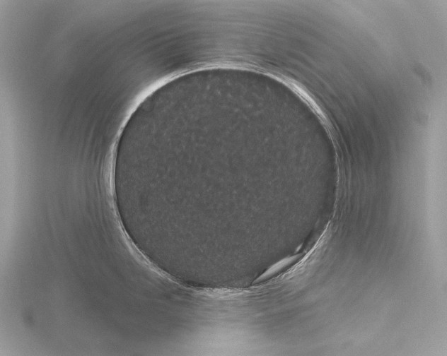 X0000115741246200912031421