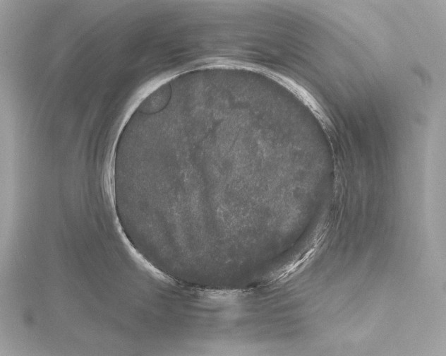 X0000115741247200912031421