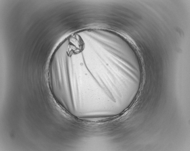 X0000115741248200912031421