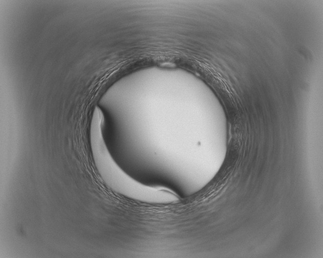 X0000115741249200912031420