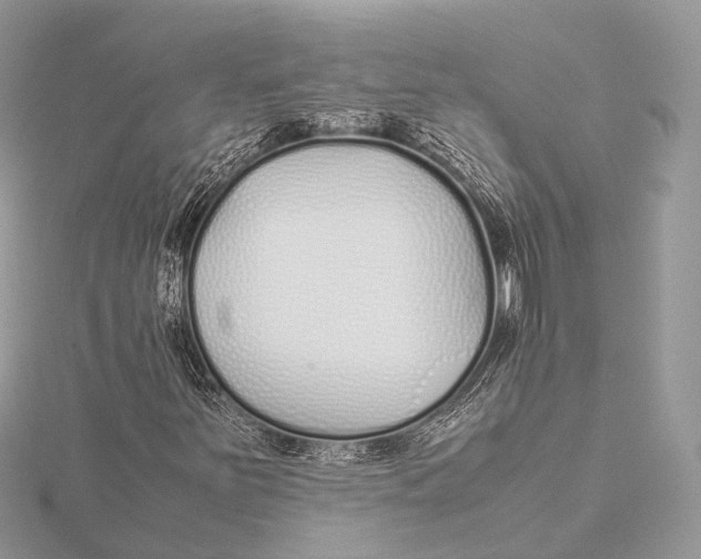 X0000115741251200912031420