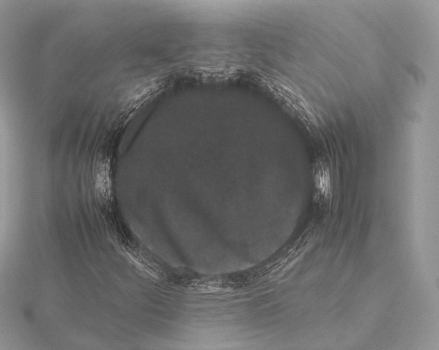 X0000115741252200912031420