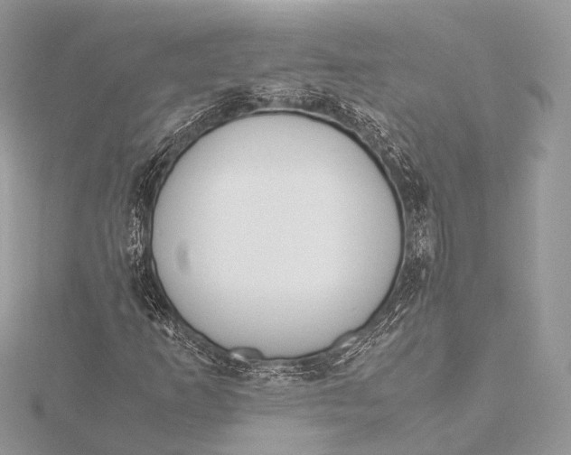 X0000115741253200912031420