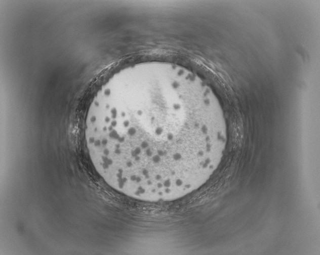 X0000115741254200912031420