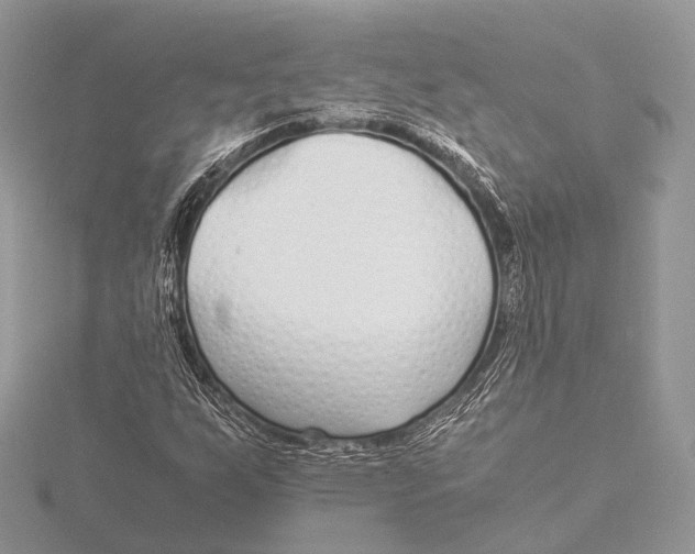 X0000115741255200912031420