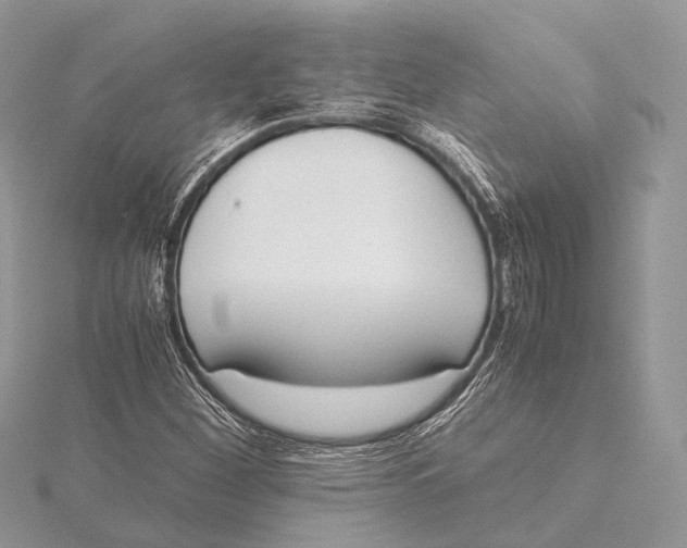 X0000115741260200912031420