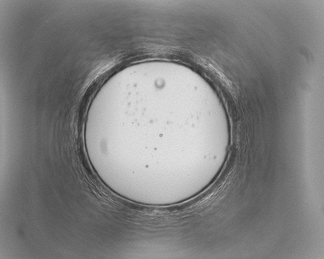 X0000115741261200912031420